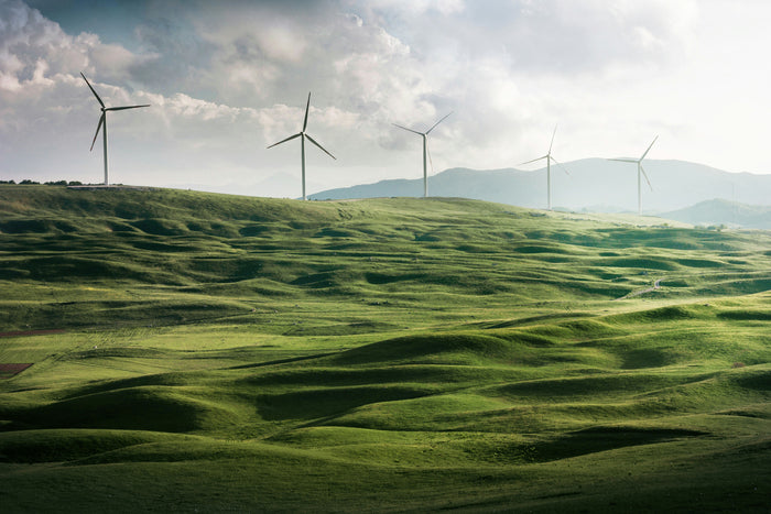 Carbon Reduction