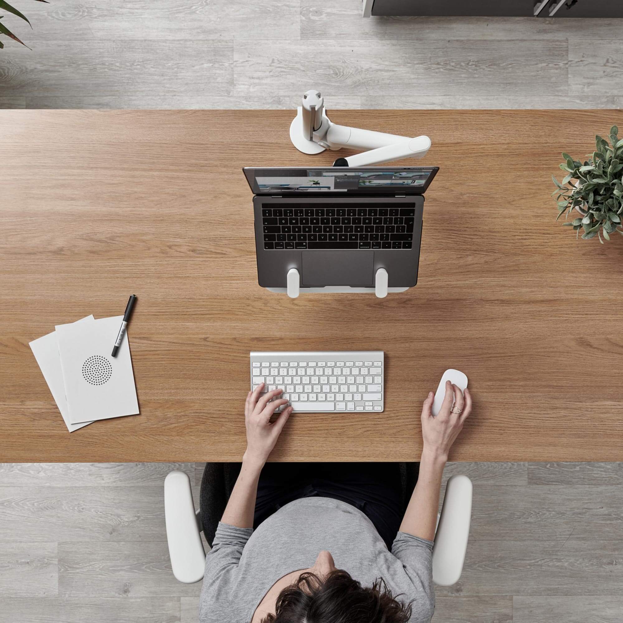 Lima Monitor Arm With Laptop Mount