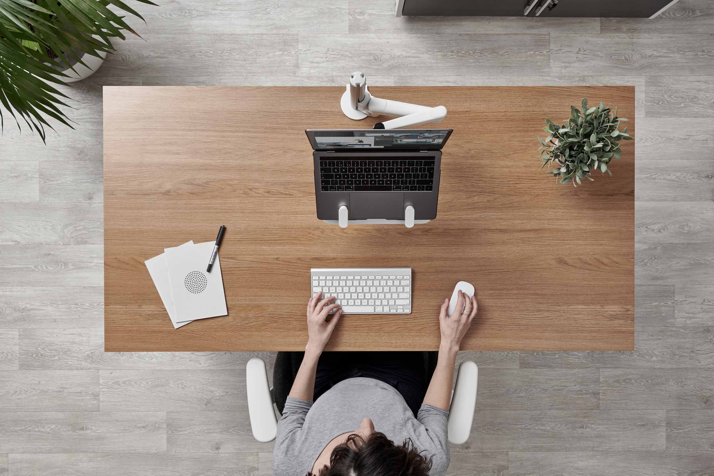 Lima Monitor Arm With Laptop Mount