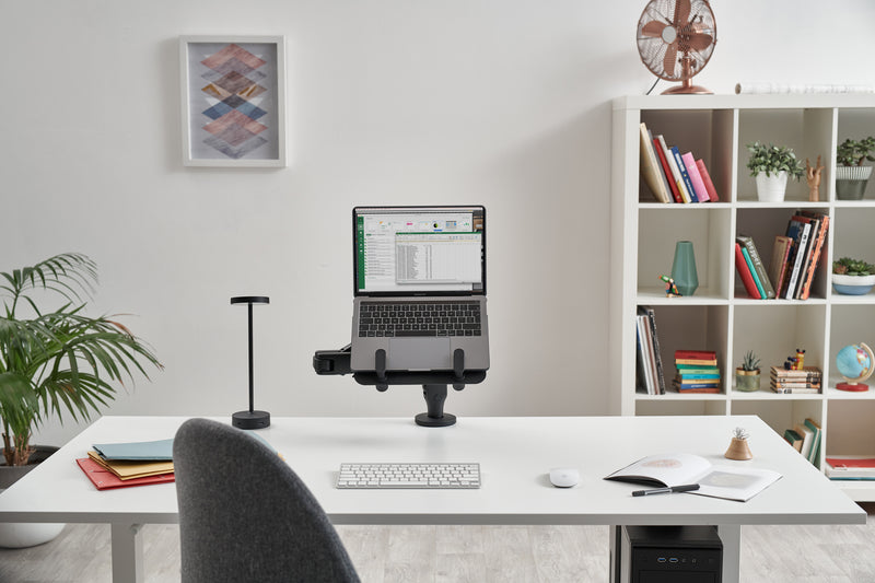 Ollin Laptop Tablet Mount