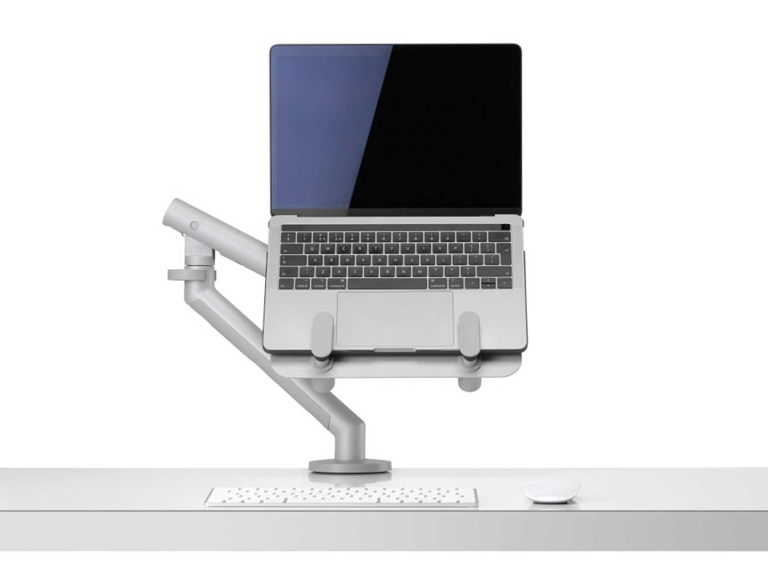 Flo mit Ollin Laptop Tablet Halterung